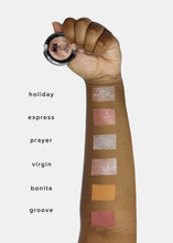 Load image into Gallery viewer, AOA Velour Eyeshadow Collection